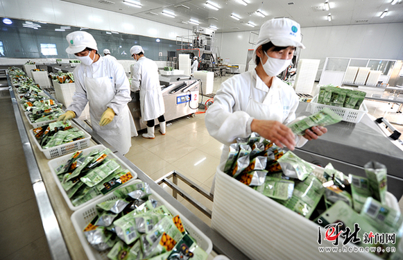 板栗之乡迁西板栗加工企业达200多家