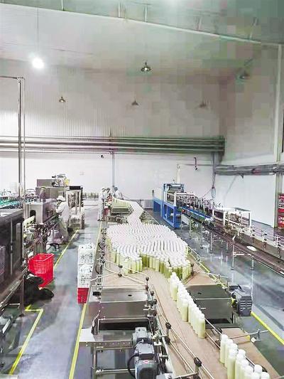 平泉:从种蘑菇到食用菌饮料上市