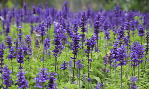 睡眠质量不好?快来试试这些辅助方法