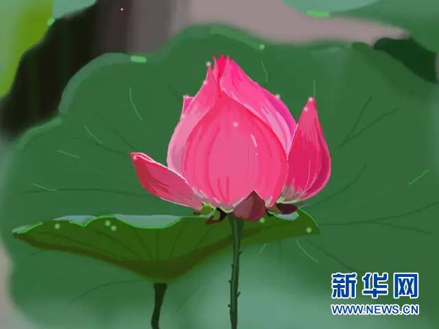 系列广播剧《白洋淀故事》:千亩荷花别样红