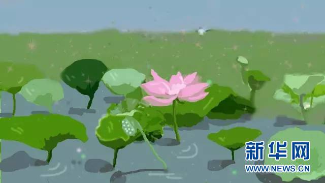 系列广播剧《白洋淀故事》:千亩荷花别样红