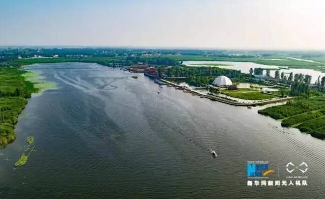 系列广播剧《白洋淀故事》:千亩荷花别样红