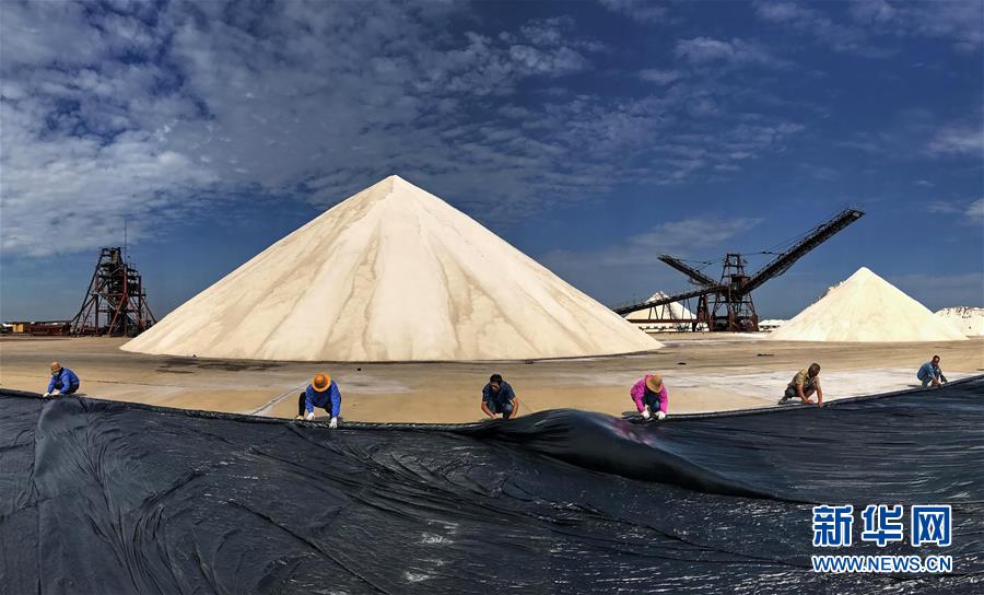 河北唐山:春盐丰收货满仓