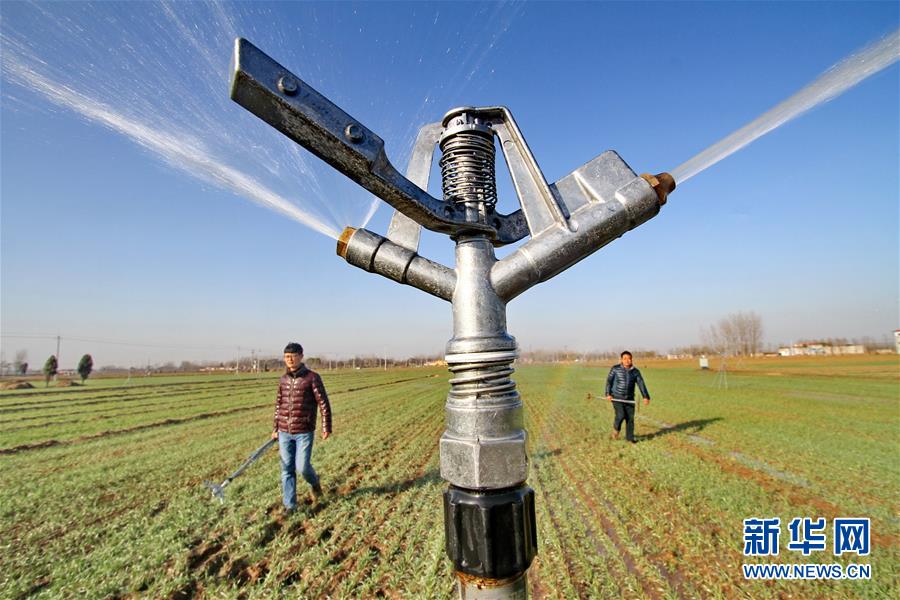 河北魏县:综合治理地下水超采