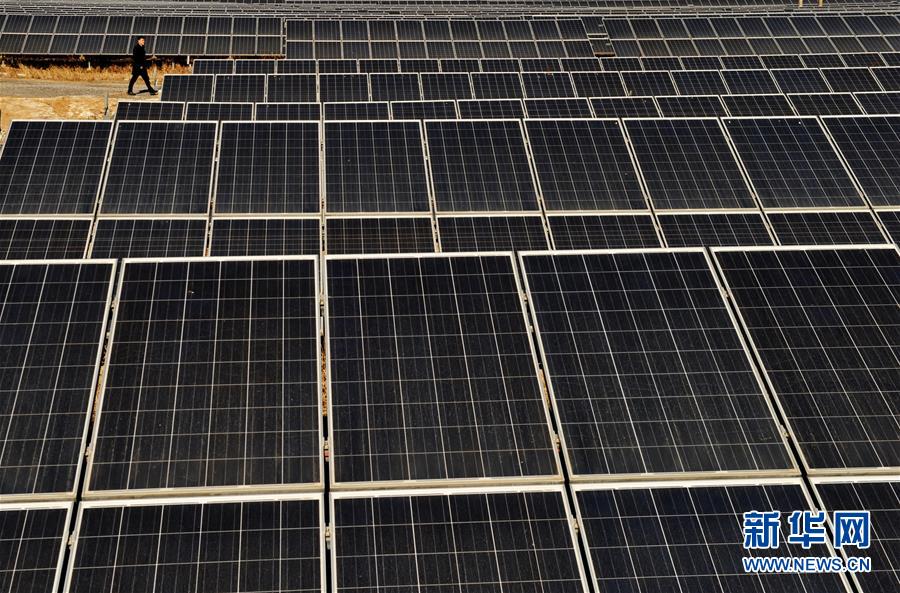 (脱贫攻坚)(2)河北南皮:精准扶贫结硕果