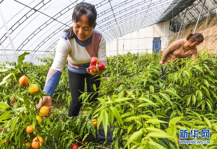 河北永清:特色旅游产业富乡村