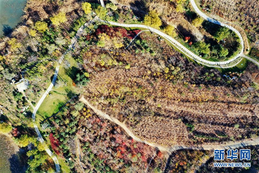 （環境）（4）河北邯鄲：&ldquo;工礦廢棄地&rdquo;的冬日&ldquo;美顏&rdquo;