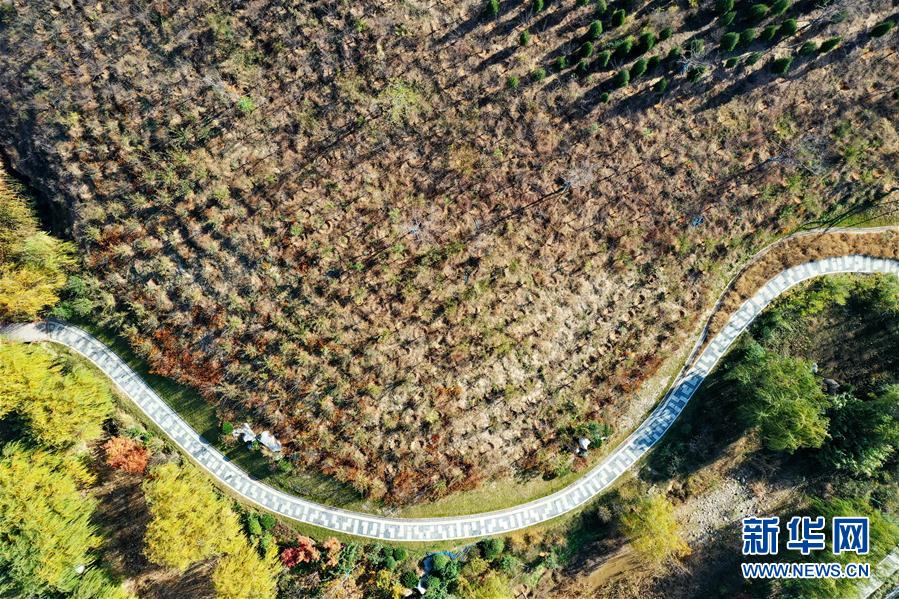 （環境）（5）河北邯鄲：&ldquo;工礦廢棄地&rdquo;的冬日&ldquo;美顏&rdquo;