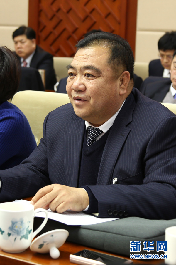 河北省人大代表分团审议政府工作报告