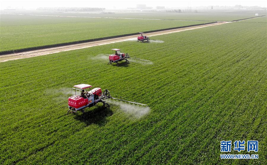 （經濟）（2）河北：&ldquo;一噴三防&rdquo;促豐收