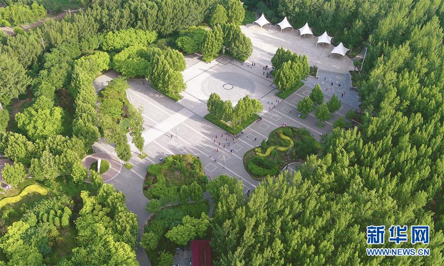 （环境）（4）河北文安：构建京津雄周边生态绿色屏障