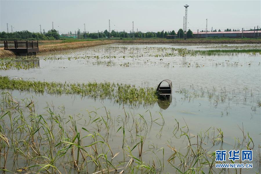 （环境）（2）河北秦皇岛：生态治理 清流入海