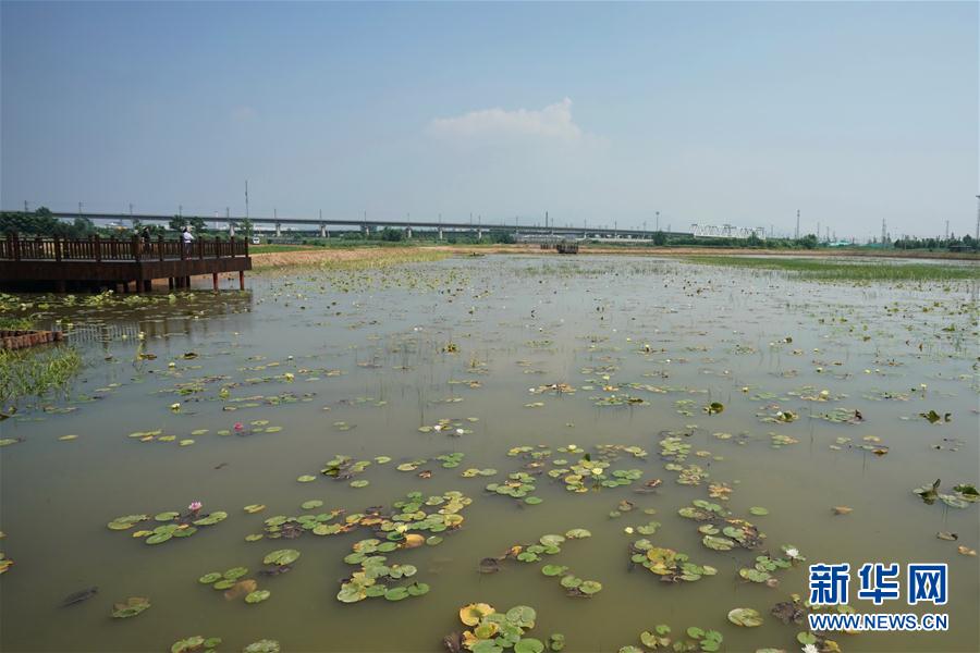 （环境）（3）河北秦皇岛：生态治理 清流入海