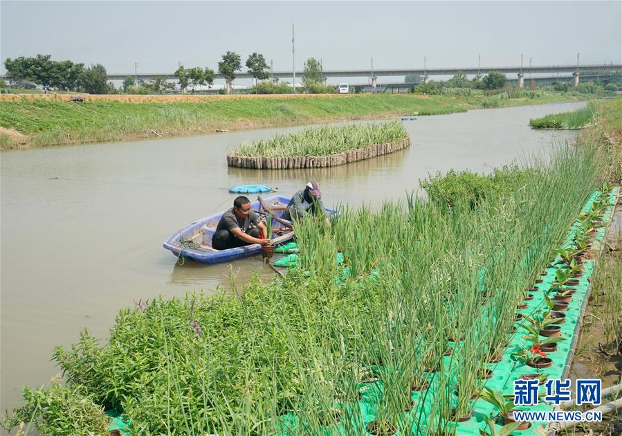 （环境）（5）河北秦皇岛：生态治理 清流入海