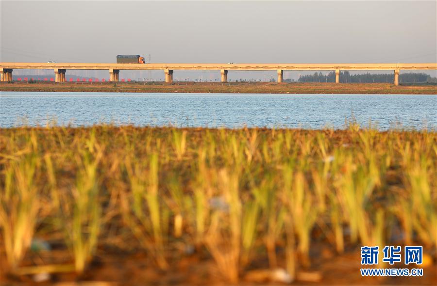（环境）（2）河北石家庄：滹沱河生态修复二期工程完工