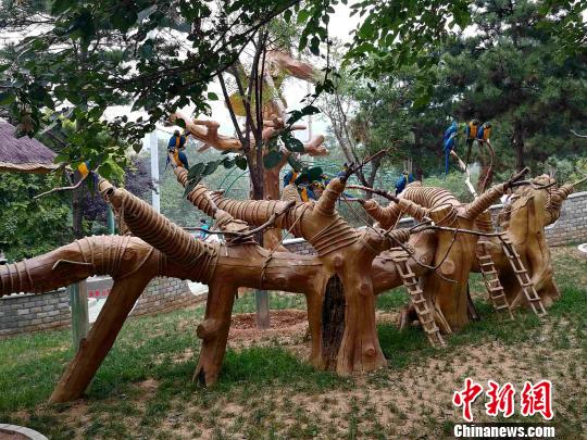 石家庄:27种珍贵鹦鹉亮相 能跟饲养员互动