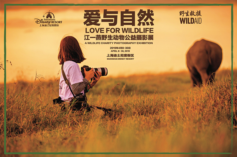 ½Ò»Ñà¹«ÒæÓ°Õ¹ÎªÒ°Éú¶¯Îï±£»¤·¢Éù