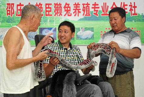 轮椅上的致富带头人张艳臣
