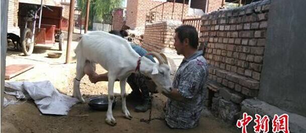 新华网_北戴河频道