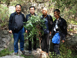 新华网_河北频道_政府网群_河北武安