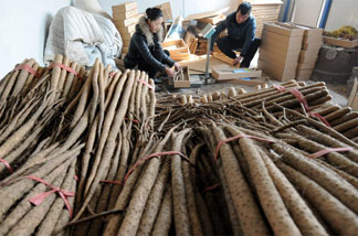 河北任县：白山药种植促增收
