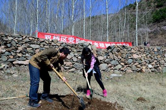 河北承德：党员志愿者义务植树