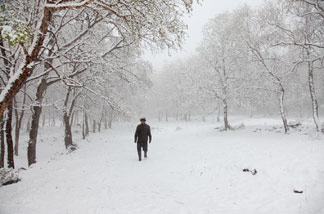 河北：坝上飞雪