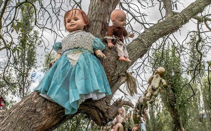 探访墨西哥恐怖的娃娃森林