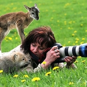 野生动物陪伴摄影师工作逗趣萌照