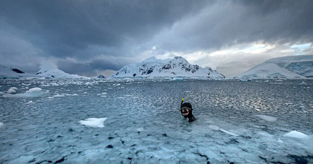 冰潛者挑戰南極 與海豹水中嬉戲
