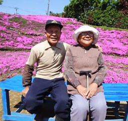 老人为失明妻子种出一片花海