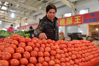 河北：元宵节后蔬菜价格回落