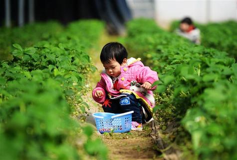 休闲观光农业“掘金”忙