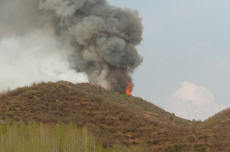 茅荆坝自然保护区发生森林火灾