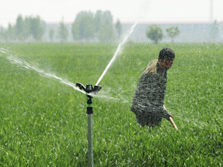 河北：抗旱保丰收