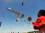 第二届中国廊坊·第什里风筝节启幕