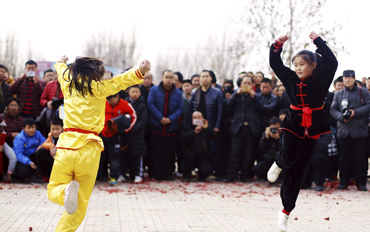 财政收入_衡水市财政收入(3)