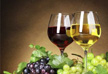 科普：适量饮葡萄酒可保护神经细胞