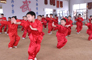 沧州六合拳