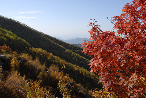 都山秋色