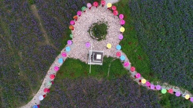 沙河gdp_沙河王酒价格表和图片(3)