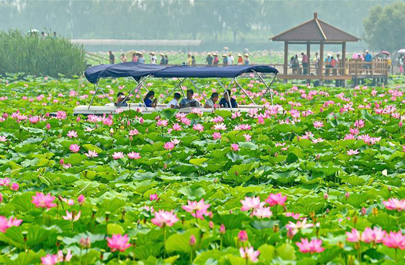 第二届白洋淀(雄安·容城)国际服装文化节