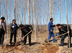 马兰峪镇驻村工作队积极开展植树造林绿化活动