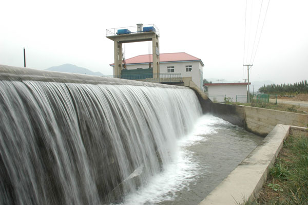 建明镇生产的绿色食品葡萄