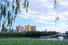 沧州新貌4