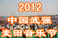 武强麦田音乐节