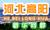 高阳