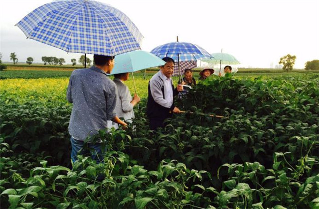 成果取决于你到农田的距离远近