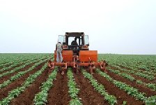 2020沧州县市区经济_2020年沧州地区所有普通高中招生计划公布!