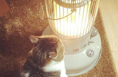 ����&ldquo;ȡů����&rdquo;���ˣ�����ůһ��